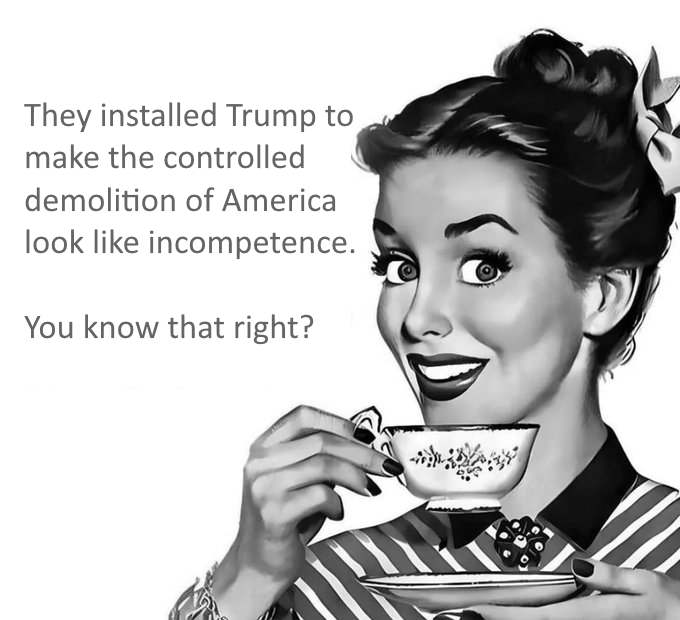 trump-collapse